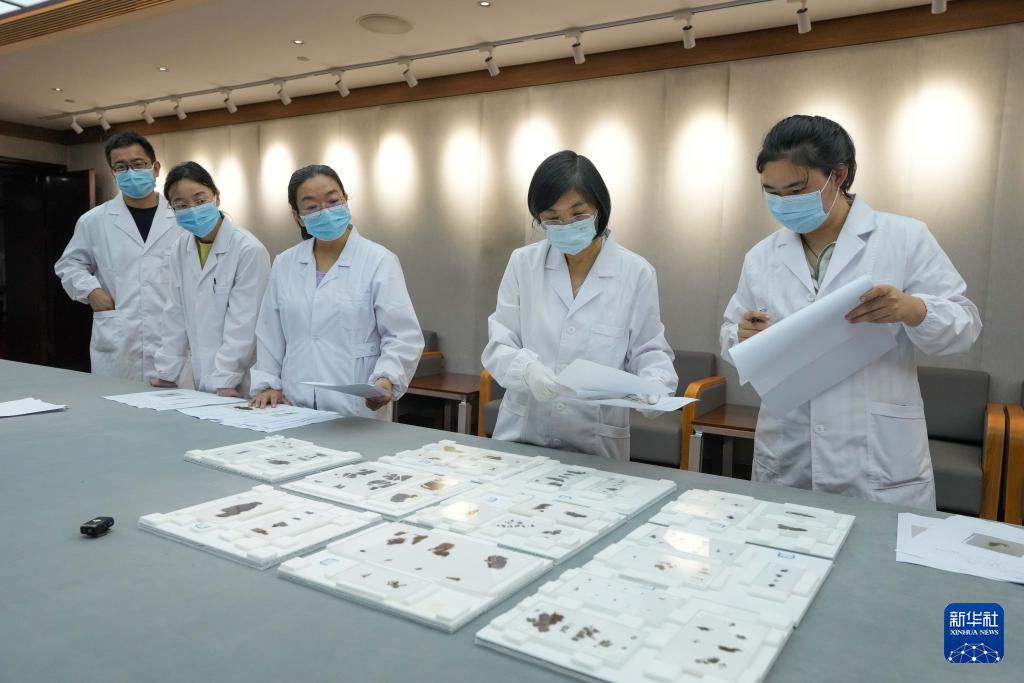 子弹库战国帛书正式入藏湖南省博物馆