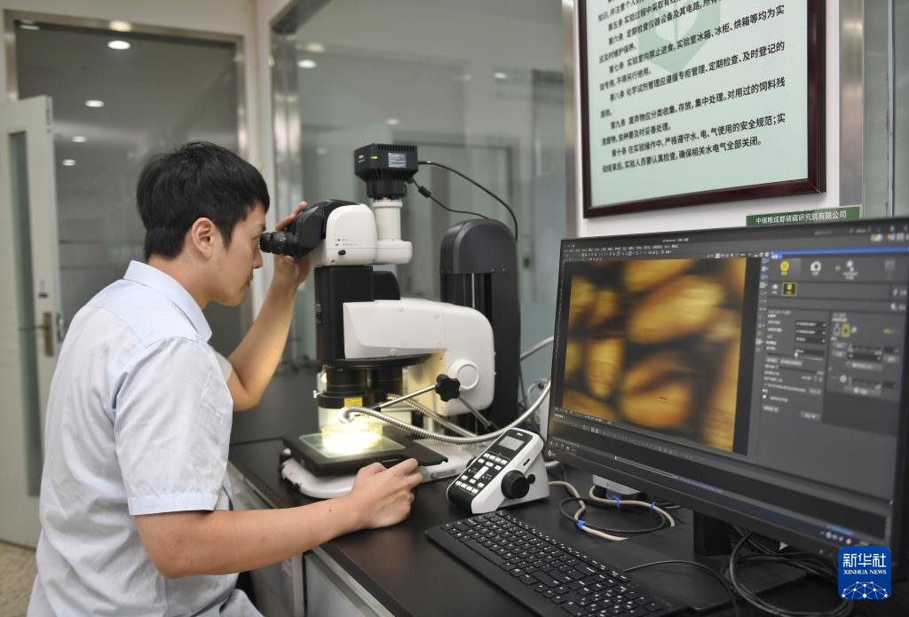 “黑科技”助力 筑牢大国粮仓