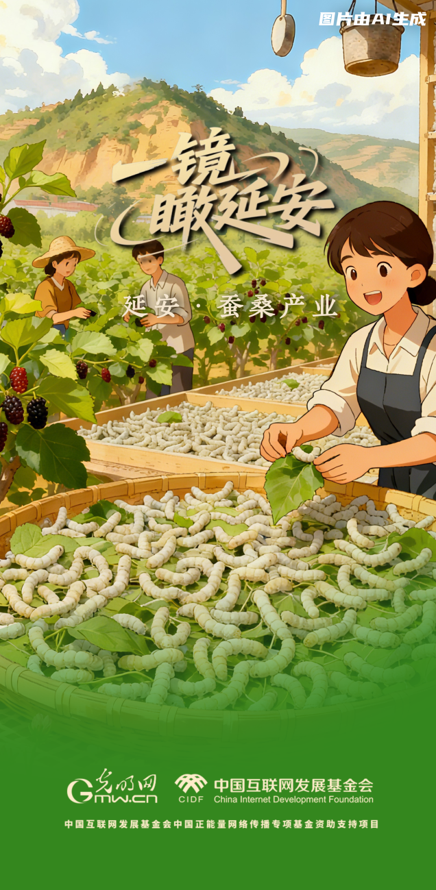 一镜瞰延安丨桑蚕产业