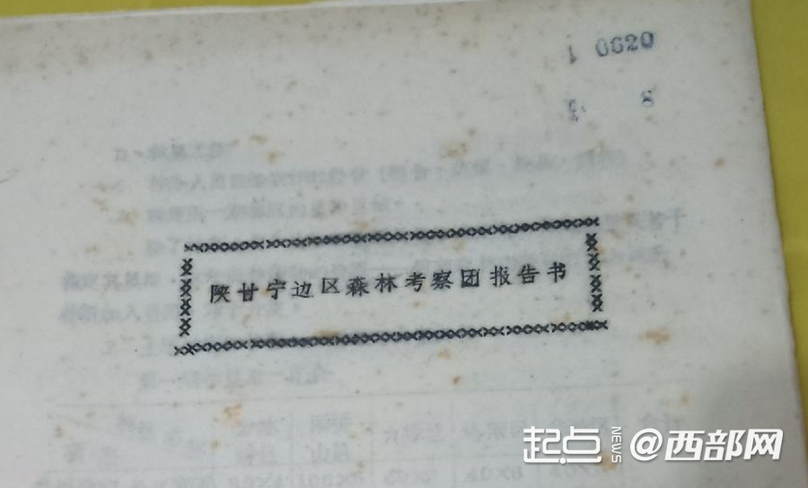 延安苹果今又“红”