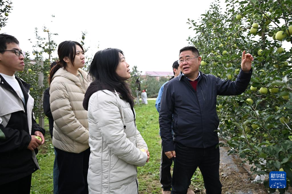 陕西白水：苹果试验站铺就“致富路”