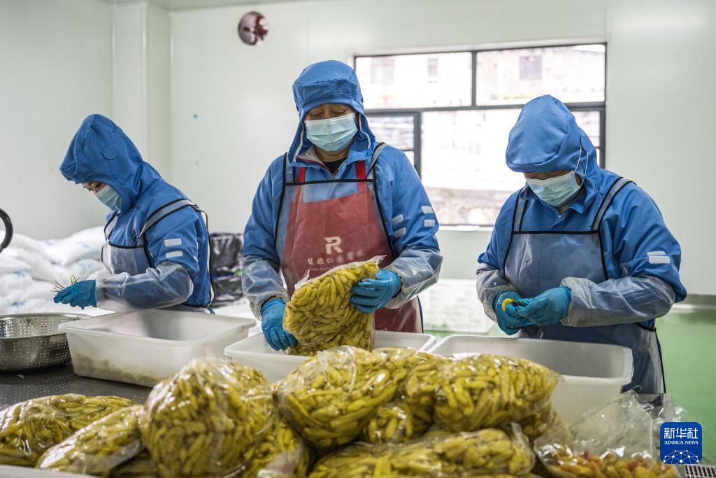 云南镇雄：山区产业园助力乡村振兴