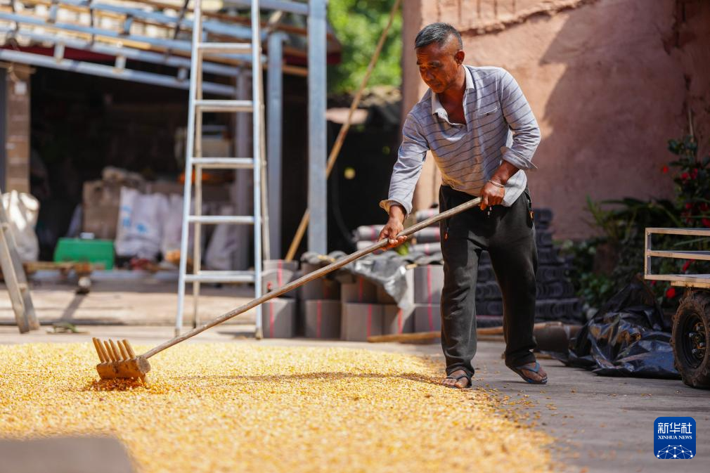 新时代中国调研行之文化中华丨茶马古道上的孔雀屏村