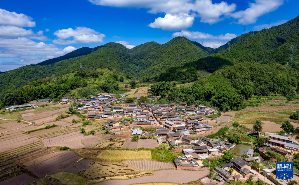 新时代中国调研行之文化中华丨茶马古道上的孔雀屏村