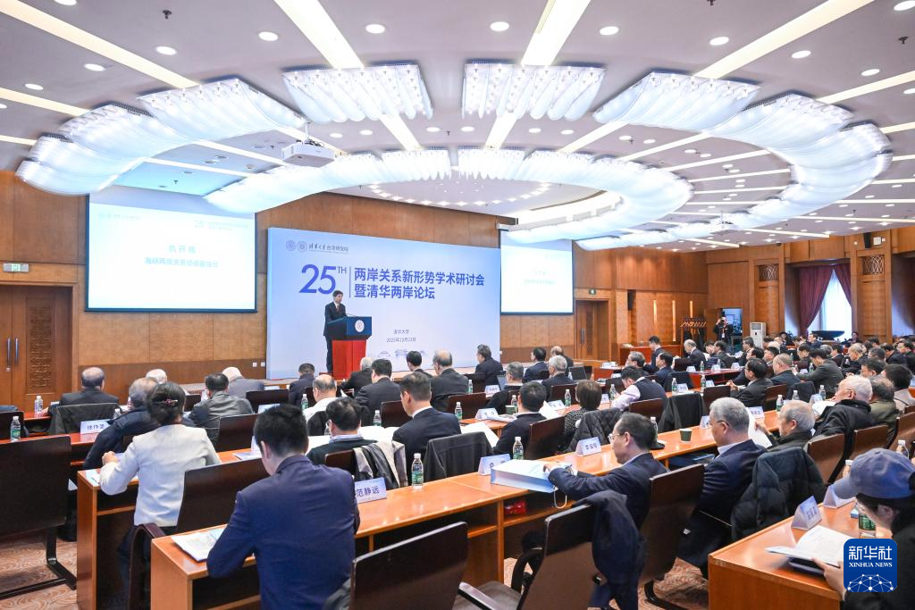 两岸关系新形势学术研讨会暨清华两岸论坛在京举行