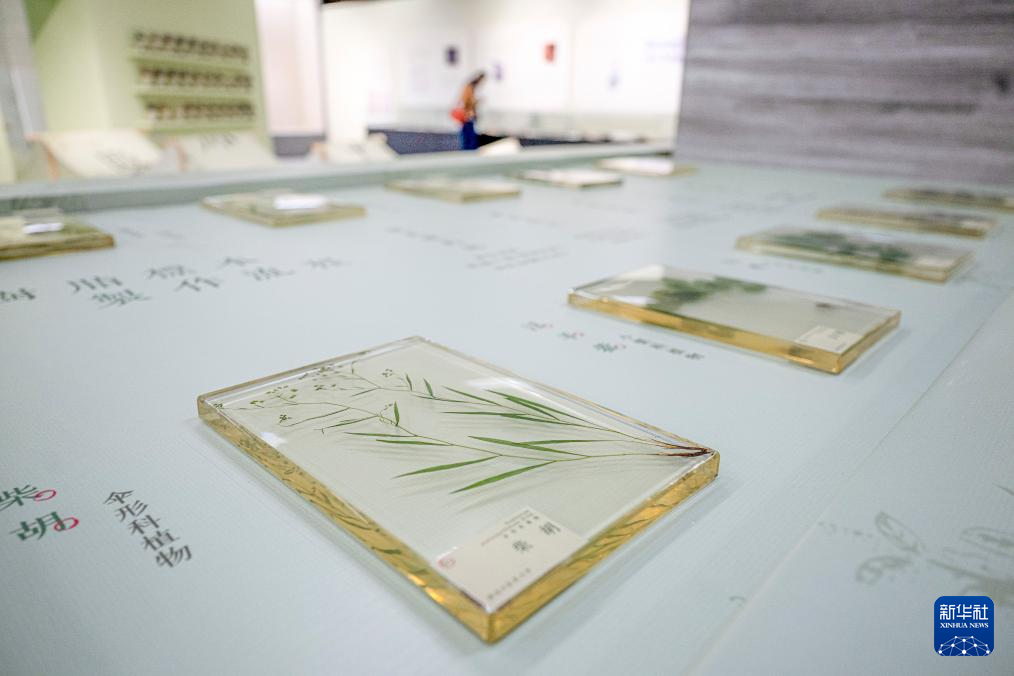 “医脉楚天 典藏万象——2025年中华传统晒书活动暨长江文化典籍阅读季”在武汉开幕