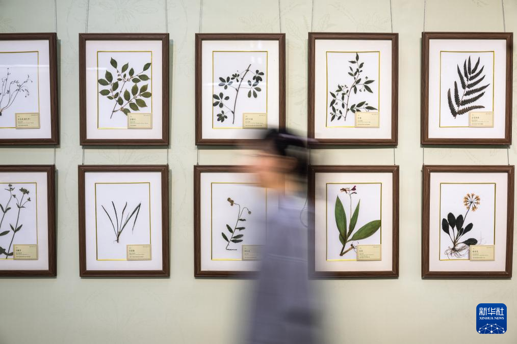 “医脉楚天 典藏万象——2025年中华传统晒书活动暨长江文化典籍阅读季”在武汉开幕