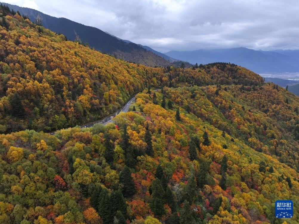 西藏林芝:色季拉山秋色浓