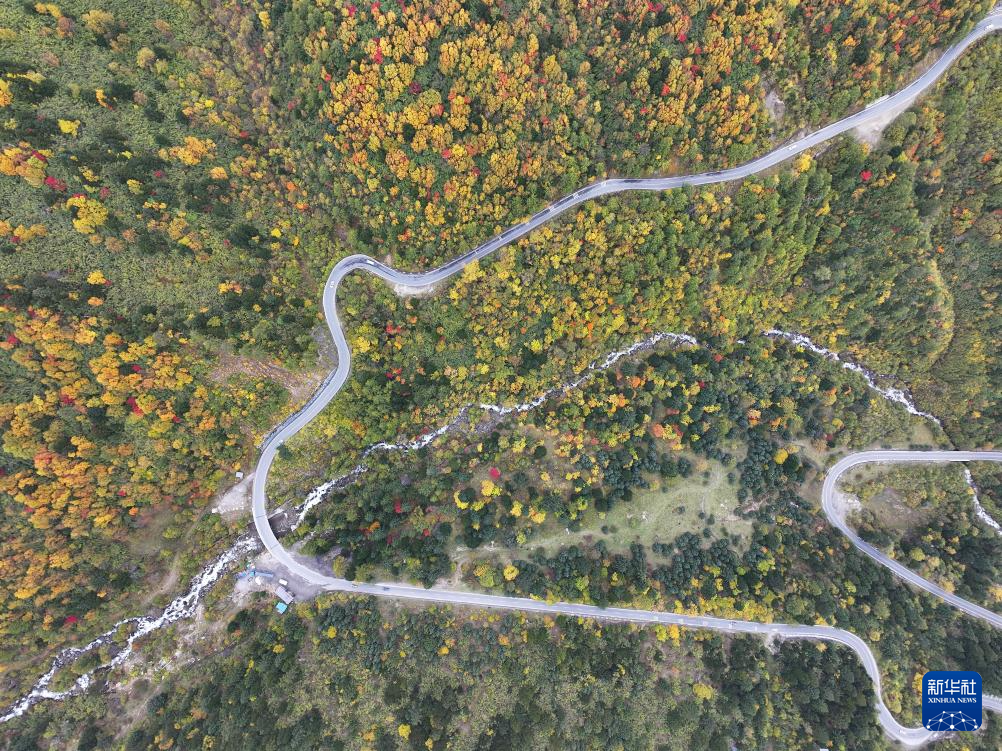 西藏林芝:色季拉山秋色浓