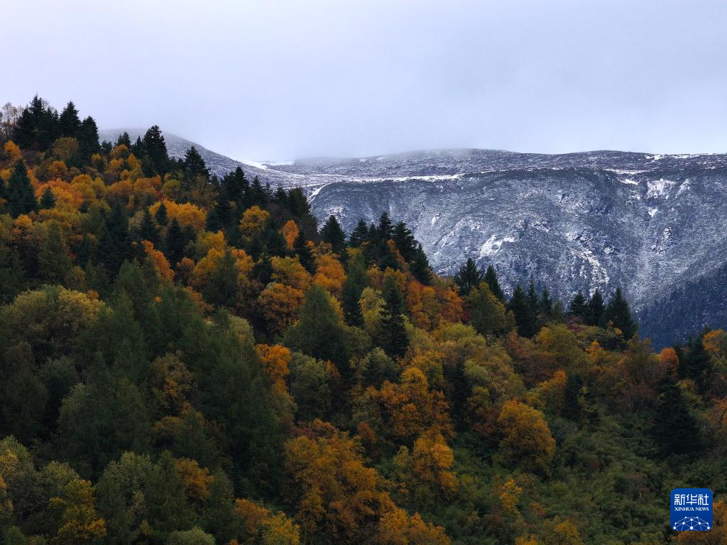 西藏林芝:色季拉山秋色浓