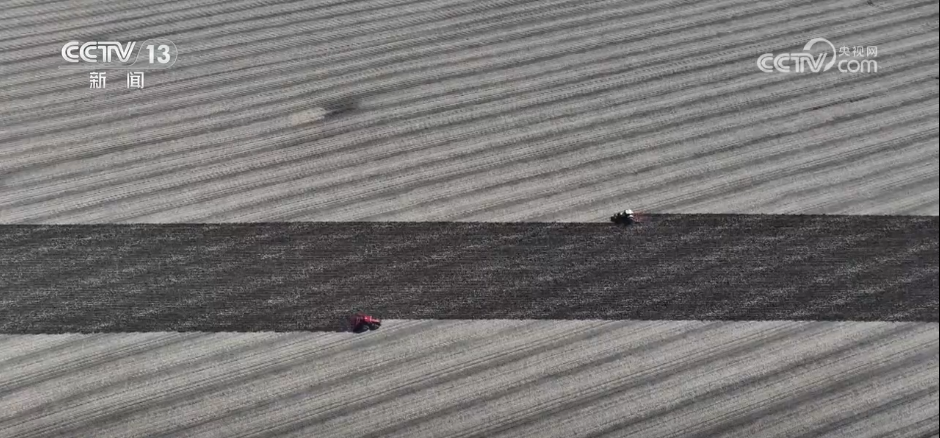 丰收背后尽显“科技范儿” 希望的田野绘就产业兴旺“振兴图”