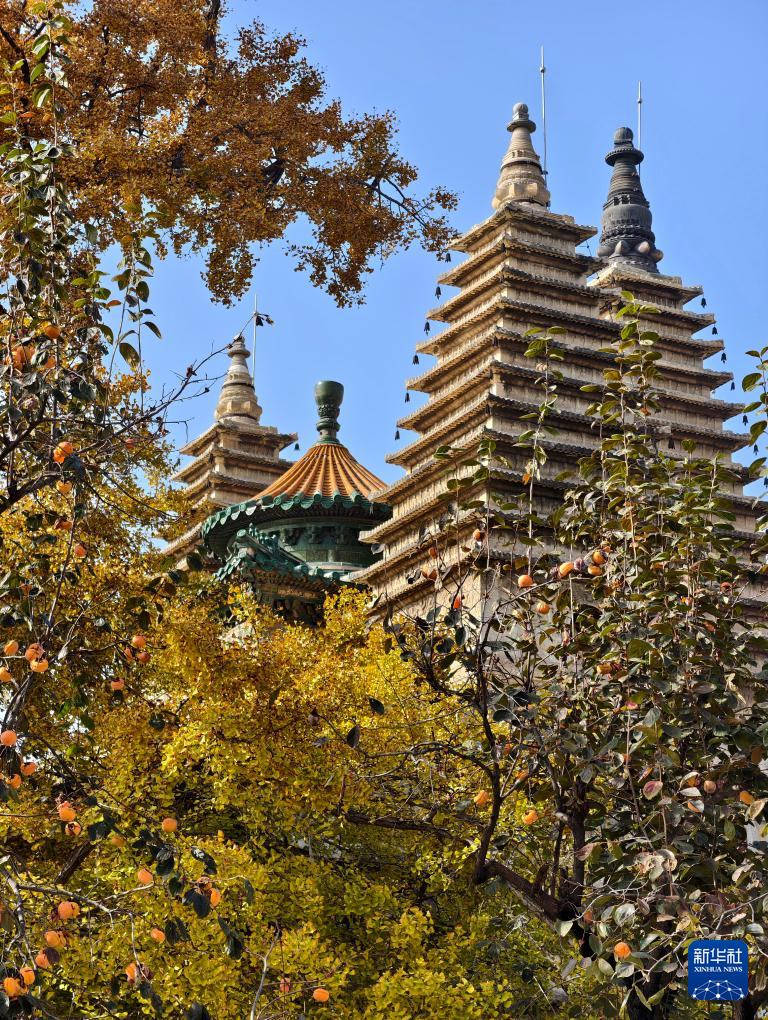 北京:五塔寺秋色浓