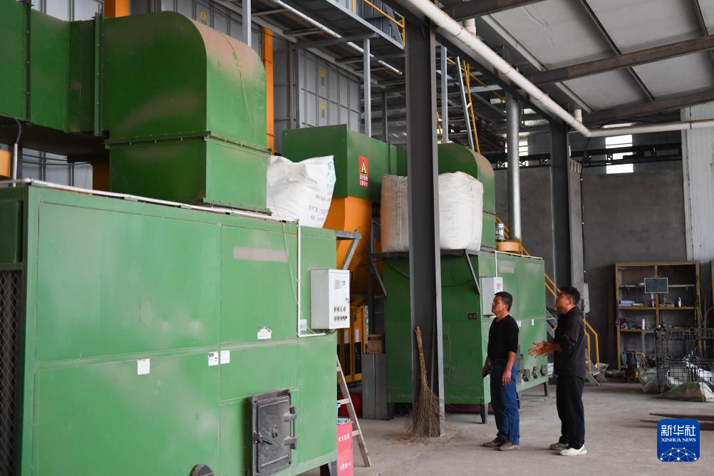 洞庭湖畔 新农人迎接“收稻季”