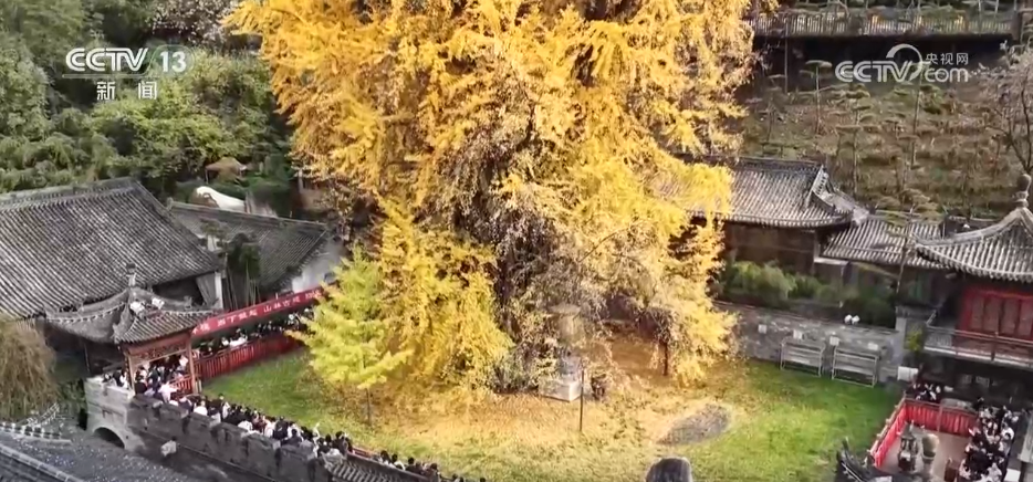 特色赏秋游热潮澎湃 “文旅+”新场景新业态激发“秋日经济”活力