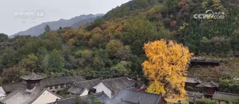 特色赏秋游热潮澎湃 “文旅+”新场景新业态激发“秋日经济”活力