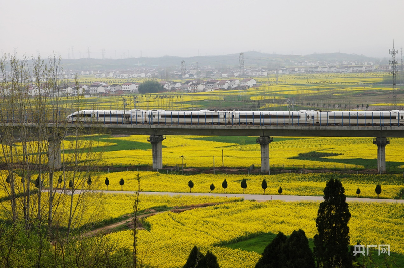 发现最美铁路丨铁龙穿梭,织就粤东最美画卷 发现最美铁路丨铁龙穿梭,织就粤东最美画卷