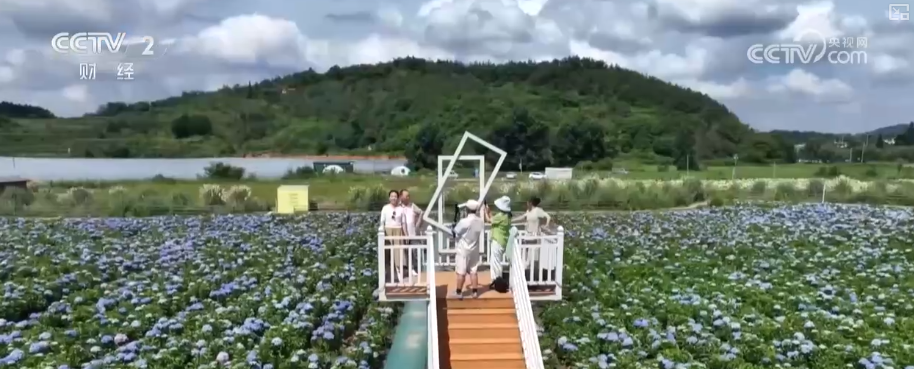 建设强大国内市场怎么干?“强大”二字有何深意?解读↓