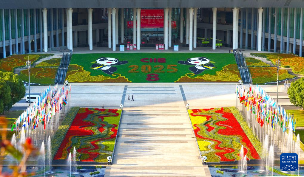 “四叶草”绽新颜 静待第八届进博会