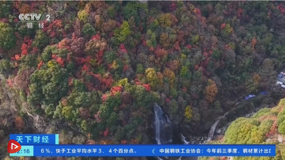 “秋日经济”活力满满 “赏秋+”催动文旅消费“热”力四射