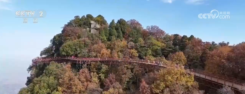 “秋日经济”活力满满 “赏秋+”催动文旅消费“热”力四射