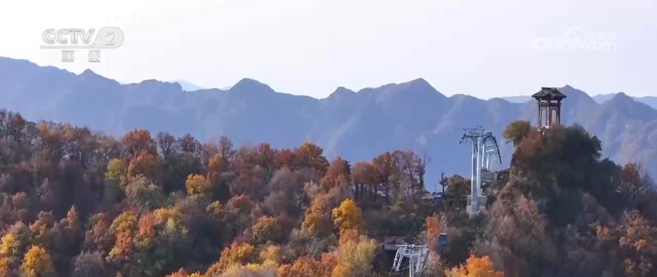 “秋日经济”活力满满 “赏秋+”催动文旅消费“热”力四射