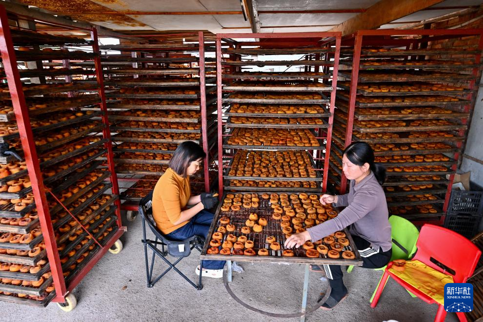 福建永泰：金秋送爽晒好“柿”