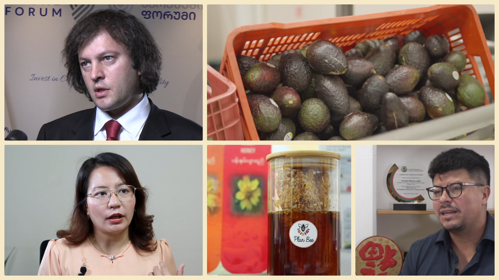 微视频丨开放惠全球