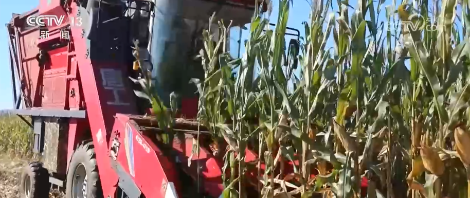 产业新观察·创新技术激活循环经济万亿级大市场 绿色消费呈现新亮点