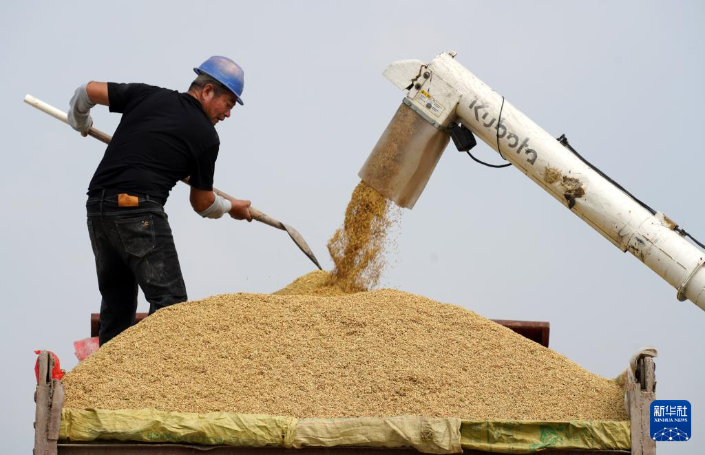 秋日“丰”景好