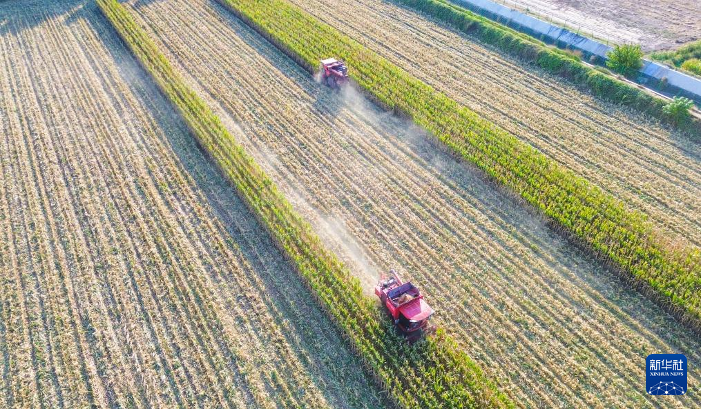 秋日“丰”景好