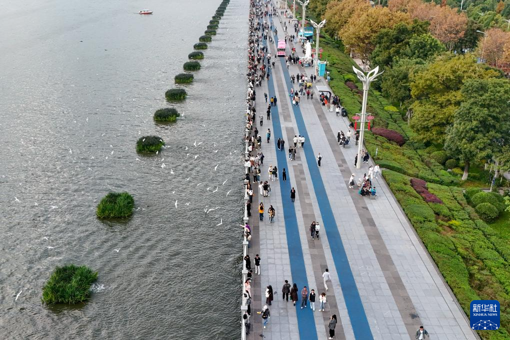 滇池畔的“约定”:四十载“春城”人鸥情