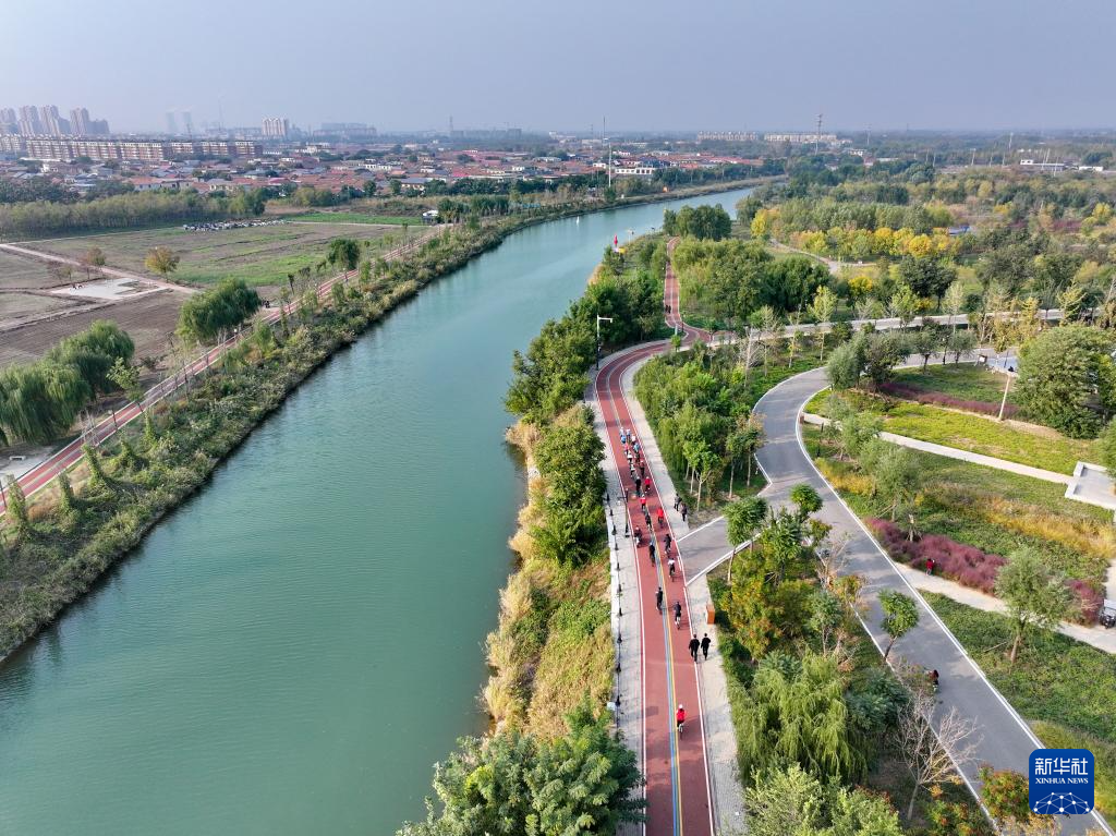 河北沧州：大运河堤顶路铺就美好生活新图景