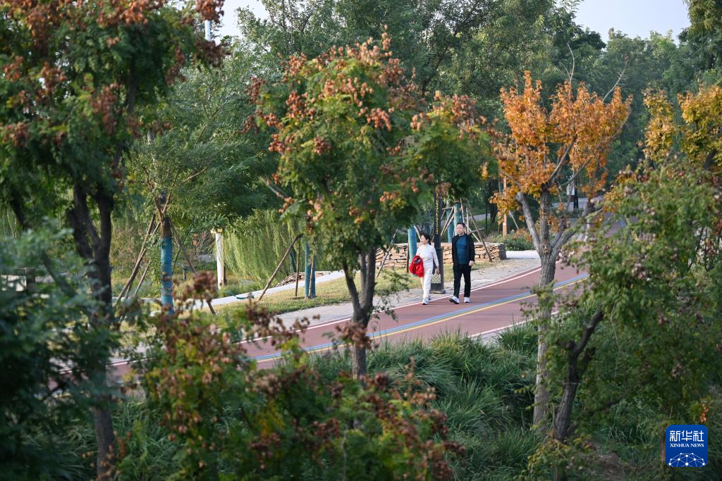 河北沧州：大运河堤顶路铺就美好生活新图景