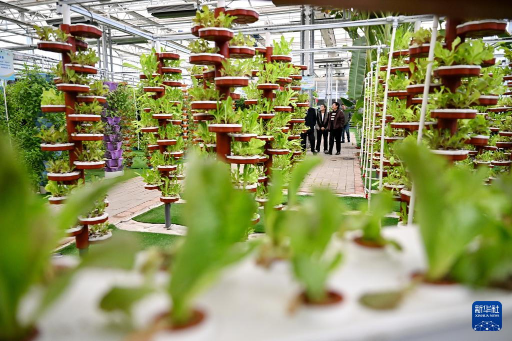河北沧州：大运河堤顶路铺就美好生活新图景