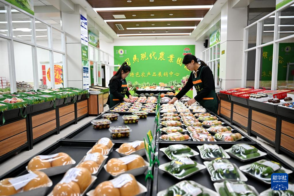 河北沧州：大运河堤顶路铺就美好生活新图景