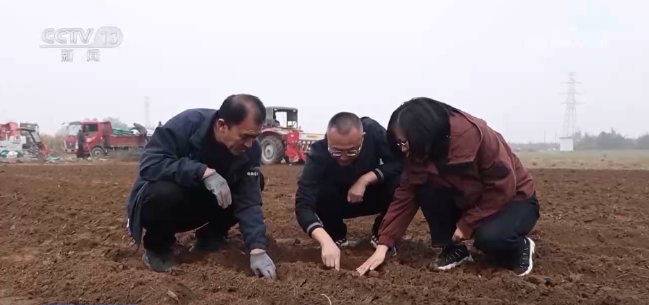 “农机+农技”助力秋收秋种 特色种养殖变身增收致富“金钥匙”