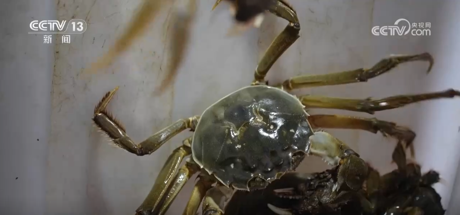 “农机+农技”助力秋收秋种 特色种养殖变身增收致富“金钥匙”