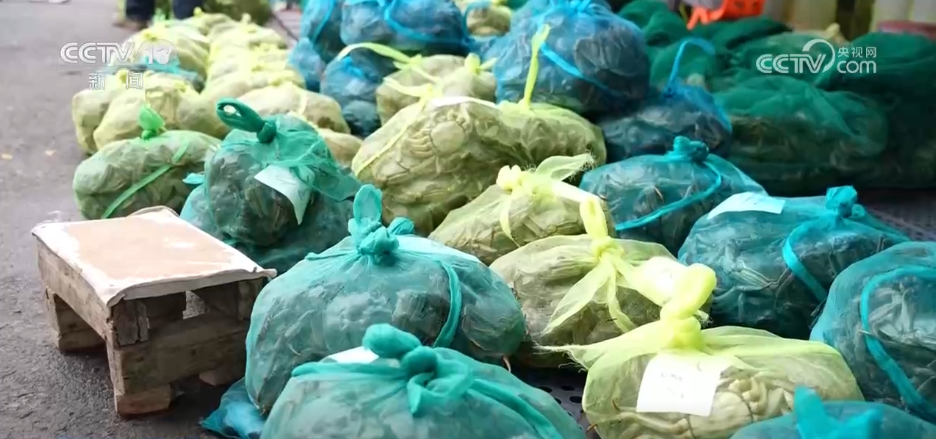 “农机+农技”助力秋收秋种 特色种养殖变身增收致富“金钥匙”