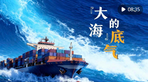 共享中国大市场 共创发展新机遇——写在第八届中国国际进口博览会开幕之际