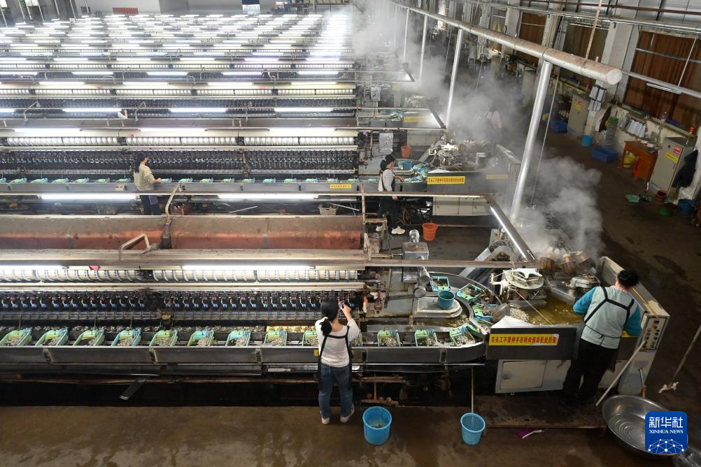 广西忻城:丝绸企业生产忙
