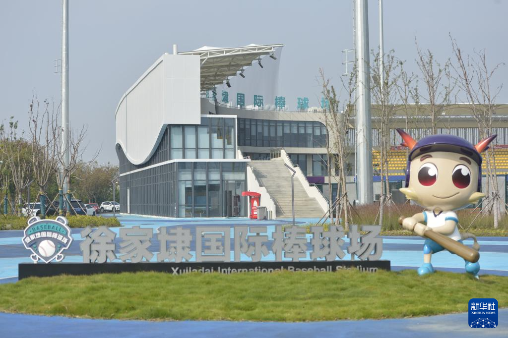 四中全会精神在基层丨浙江嘉兴平湖徐家埭村:建棒球场 铺共富路