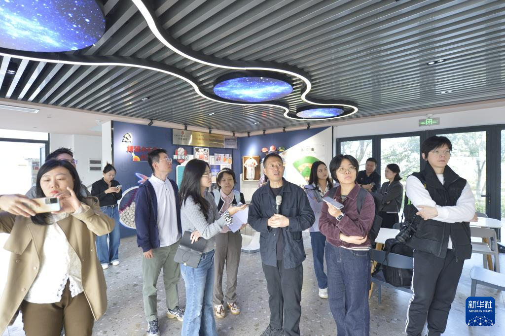 四中全会精神在基层丨浙江嘉兴平湖徐家埭村:建棒球场 铺共富路