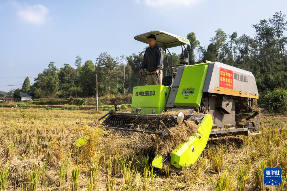 湖南长沙：变废为宝 推进秸秆回收利用