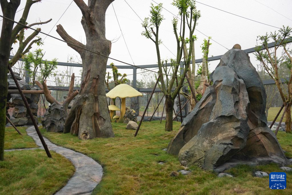 熊猫搬新“家” 我国再添一座大熊猫基地