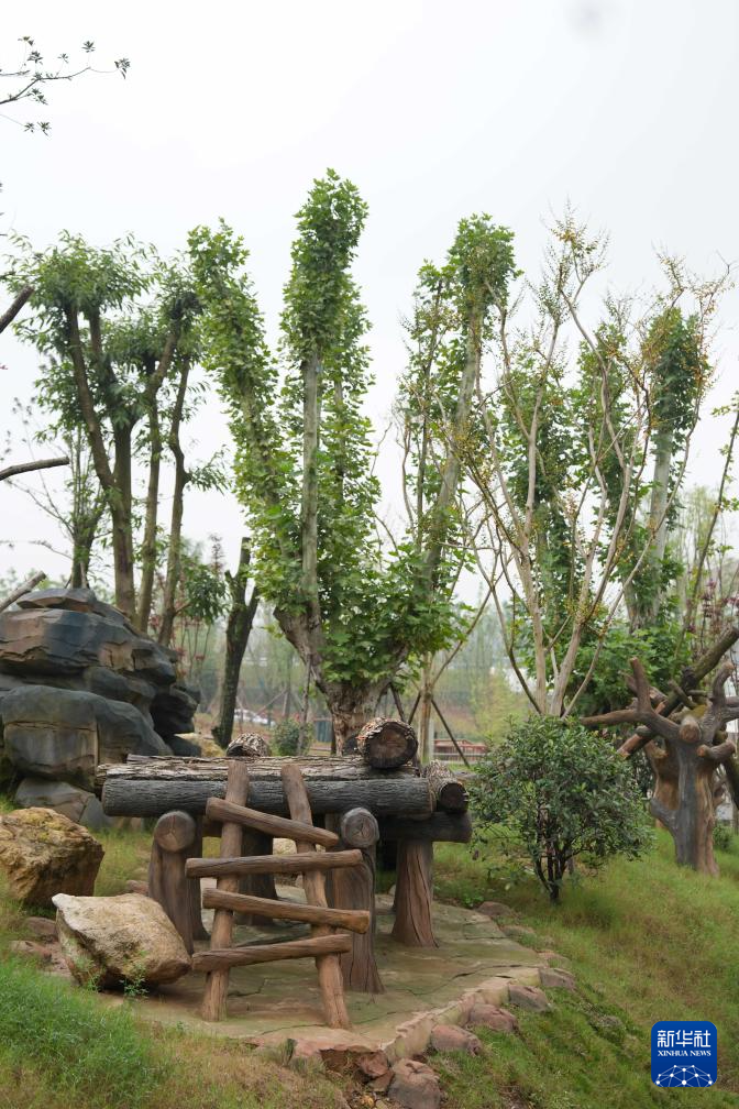 熊猫搬新“家” 我国再添一座大熊猫基地