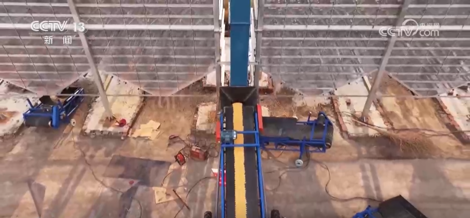 秋收一线观察 | 告别“地趴粮” 住进“好房子” 各地秋粮收储有“粮”方