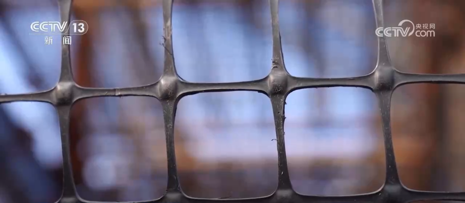 秋收一线观察 | 告别“地趴粮” 住进“好房子” 各地秋粮收储有“粮”方