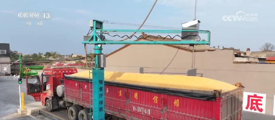 秋收一线观察 | 告别“地趴粮” 住进“好房子” 各地秋粮收储有“粮”方