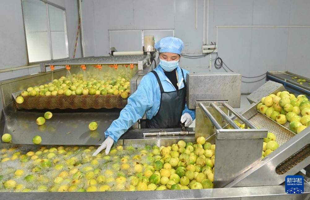 广西忻城：百香果香飘增收路