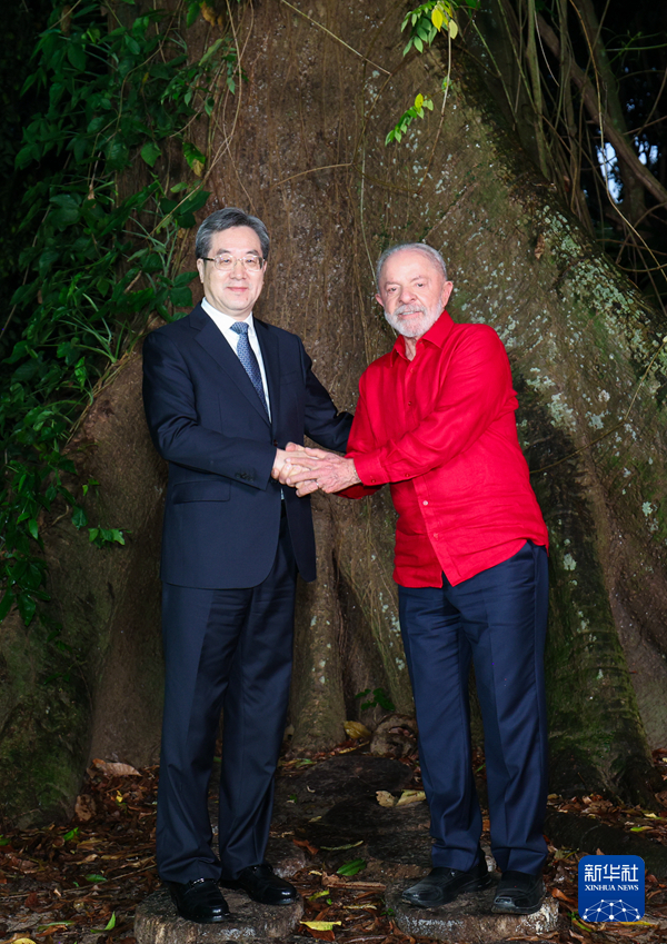 丁薛祥访问巴西